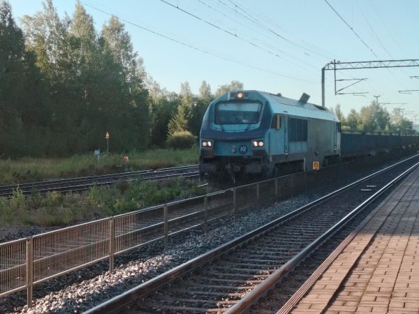 Havainto